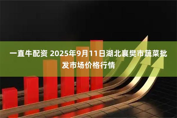 一直牛配资 2025年9月11日湖北襄樊市蔬菜批发市场价格行情