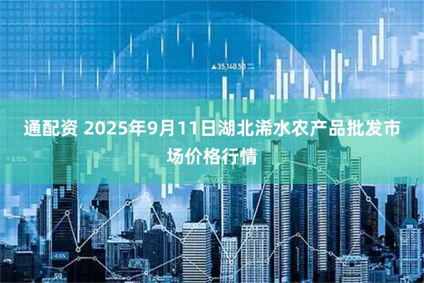 通配资 2025年9月11日湖北浠水农产品批发市场价格行情