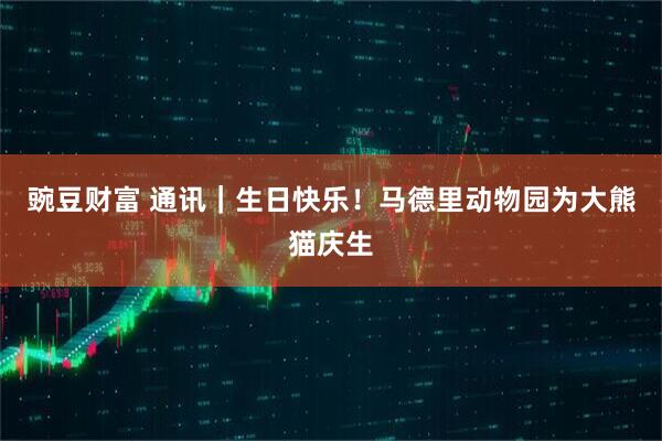 豌豆财富 通讯｜生日快乐！马德里动物园为大熊猫庆生