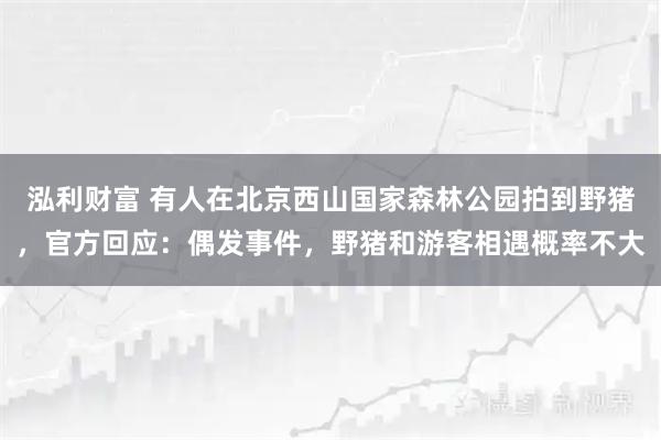 泓利财富 有人在北京西山国家森林公园拍到野猪，官方回应：偶发事件，野猪和游客相遇概率不大