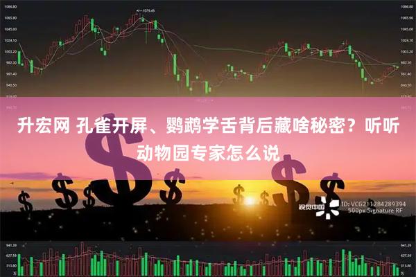 升宏网 孔雀开屏、鹦鹉学舌背后藏啥秘密？听听动物园专家怎么说