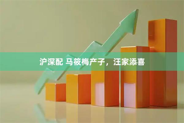 沪深配 马筱梅产子，汪家添喜