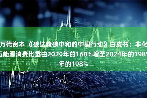 万德资本 《碳达峰碳中和的中国行动》白皮书：非化石能源消费比重由2020年的160%增至2024年的198%