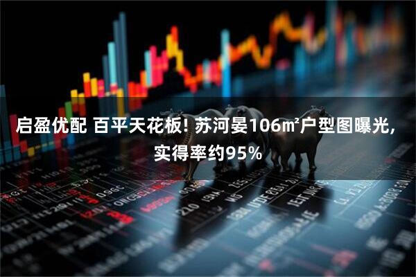 启盈优配 百平天花板! 苏河晏106㎡户型图曝光, 实得率约95%